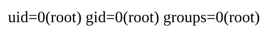 Browser showing the application root URL executing id through the injected backdoor and returning uid=0(root) plus the leaked APP_KEY